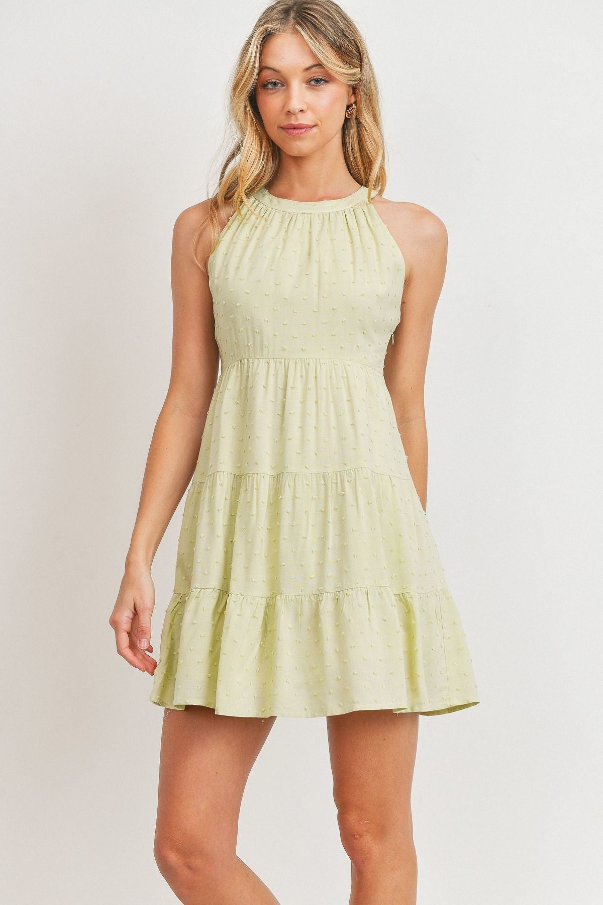 Juno Roundneck Sleeveless Dotted Swiss Dress — view 1
