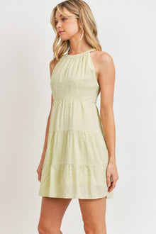 Juno Roundneck Sleeveless Dotted Swiss Dress — thumbnail 4
